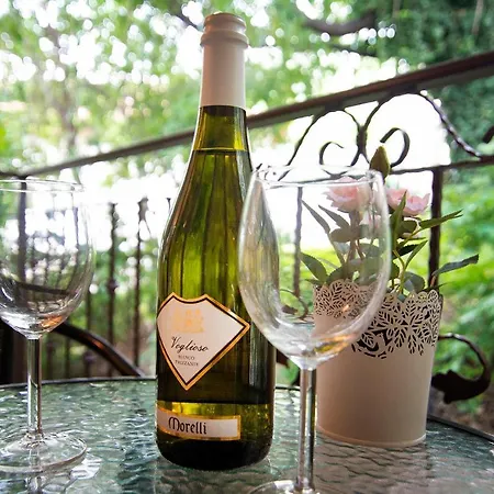 Odrys 플로브디프