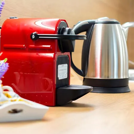 Odrys * 普罗夫迪夫